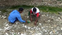 Warga biasa menyebut lubang-lubang di dasar sungai tersebut sebagai belik. Dari belik-belik inilah warga menggantungkan pasokan air untuk kebutuhan harian mereka.