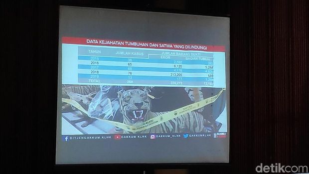 Data mencatat perburuan satwa liar terus meningkat tiap tahun