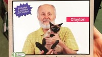Kalender yang gambarnya orang kesepian lagi pegang kucing. Seru sekali. Istimewa/Dok. Boredpanda.
