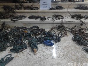 Razia di Hutan Riau, Petugas BBKSDA Temukan 170 Jerat Satwa