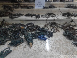 Marak Jerat Satwa Liar di Hutan, KLHK Terjunkan Tim Smart Patrol