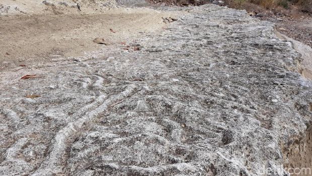 Fosil jejak cacing laut purba di Gunungkidul.