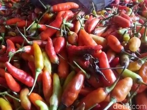 Harga Cabai Turun Diprediksi Picu Deflasi