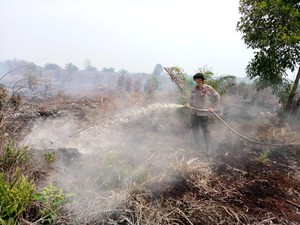 85 Titik Api Masih Ada di Sumatera, Paling Banyak di Riau