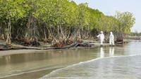 Petugas menyelesaikan pemasangan peralatan Oil Boom milik Oil Spill Response Center (OSCT) untuk melokalisir tumpahan minyak mentah di Pantai Sedari, Cibuaya, Karawang, Jawa Barat, Kamis (1/8/2019).