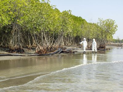 Upaya Minimalisir Tumpahan Minyak di Pesisir Karawang