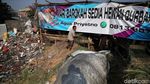 Hewan Kurban Ini Dijual di Samping Tempat Penampungan Sampah