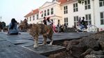 Berharap Kota Tua Jadi Warisan Dunia