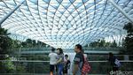 Foto: Hutan Avatar di Jewel Changi