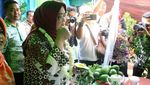 Momen Bupati Bogor, Ade Yasin Jajan Telur Gulung hingga Cicip Alpukat