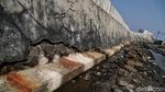 Tanggul Laut Muara Baru Diambang Kritis