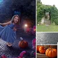 Foto taman, anak perempuan berbaju putih, tikus dan labu digabungkan oleh Viktoria untuk menghasilkan foto indah seperti sang anak kecil bak Cinderela cilik.Foto: Dok. BoredPanda/Instagram @viktoriasolidarnyh