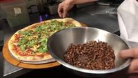 Las Vegas Diserang Belalang, Gerai Pizza Ini Bikin Pizza Topping Belalang