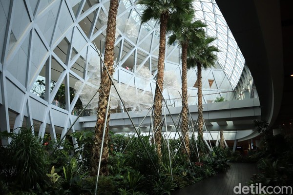 Dari L1, Lanjutkan perjalanan ke L2 dan L3 Jewel Changi untuk menjumpai South Gateway Garden, West Gateway Garden serta East Gateway Garden yang juga menyajikan suasana pepohonan hijau. Tentunya traveler jangan lupa berfoto di sejumlah spot Instagramable tersebut (Randy/detikcom) Dari L1, Lanjutkan perjalanan ke L2 dan L3 Jewel Changi untuk menjumpai South Gateway Garden, West Gateway Garden serta East Gateway Garden yang juga menyajikan suasana pepohonan hijau. Tentunya traveler jangan lupa berfoto di sejumlah spot Instagramable tersebut (Randy/detikcom)