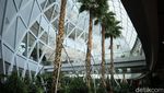 Foto: Hutan Avatar di Jewel Changi