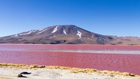 Genangan darah ini menjadi semakin eksotis dengan pemandangan pegunungan andes. Di saat perkembangan algae menurun, danau garam ini berubah menjadi pink. (iStock)