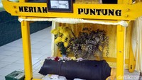 Satu bagian terlempar ke Tanah Karo, sedangkan bagian yang lain berada di halaman Istana Maimun. (Wahyu Setyo/detikcom)