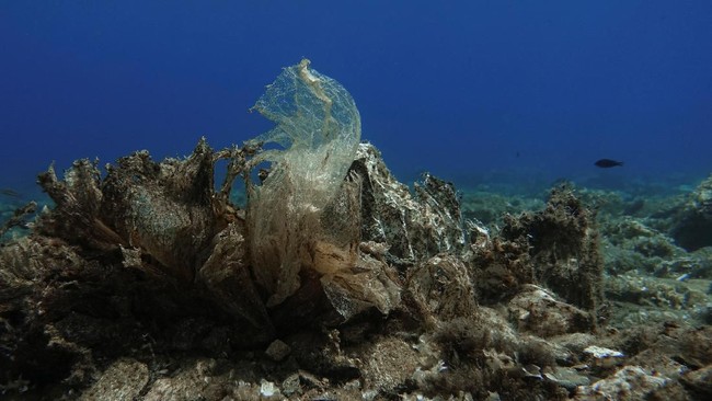 Air Minum di Botol Plastik yang Bikin Susi-Sri Mulyani Berang