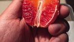 Tampil Sempurna, Potongan Makanan Ini Jadi Sayang untuk Dimakan