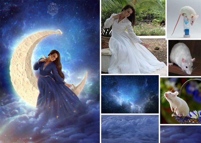 Siapa sangka foto tikus dan wanita bergaun putih bisa menjadi bak di negeri di atas awan. Foto: Dok. BoredPanda/Instagram @viktoriasolidarnyh