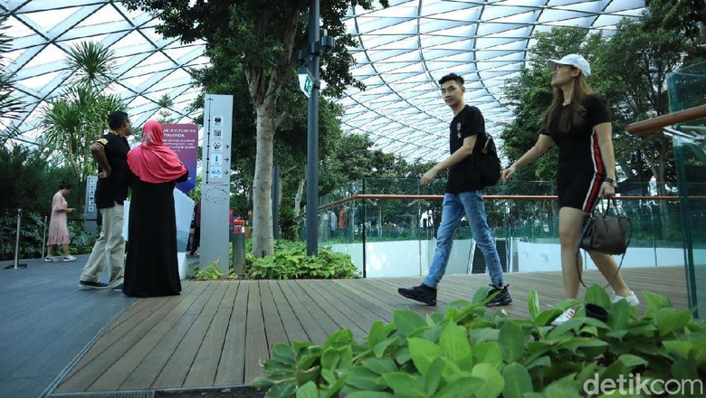 Jewel Changi Jewel Changi