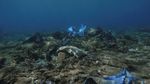 Potret Sampah Plastik Cemari Terumbu Karang di Laut Yunani