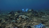 Sejumlah sampah plastik nampak mencemari terumbu karang yang berada di dasar laut lepas Pulau Andros, Yunani.