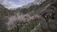 Banyak traveler menjadikan Karakoram Highway sebagai tempat wisata adventure. Bersepeda, mendaki gunung, atau off road adalah beberapa opsi favorit. (iStock)