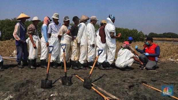Pemulihan Dampak Tumpahan Minyak Pertamina Sampai Tahun Depan