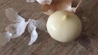 Setelah dikupas dengan perlahan, bawang ini punya bentuk yang sempurna dan sangat mulus. Foto: Buzzfeed