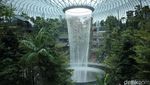 Foto: Hutan Avatar di Jewel Changi