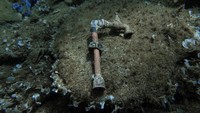 Kondisi memprihatinkan itu membuat sejumlah orang yang bergabung dalam kelompok Aegean Rebreath, menyelam ke dasar laut untuk membersihkan sampah-sampah plastik yang mencemari lautan.