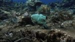 Potret Sampah Plastik Cemari Terumbu Karang di Laut Yunani