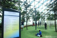 Canopy Park, Atraksi Wisata Terbaru di Jewel Changi