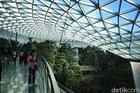 Canopy Park, Atraksi Wisata Terbaru di Jewel Changi