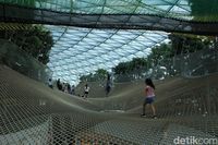 Manulife Sky-Nets Walking