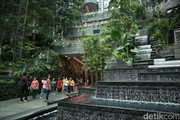 Setelah itu, langkahkan kakimu ke L1 Jewel Changi untuk melihat Shiseido Forest Valley yang terbagi menjadi sisi East (Timur) dan West (Barat). Layaknya hiking di hutan, traveler bisa berjalan santai di rute yang disediakan dengan panorama pepohonan dan tumbuhan hijau di sekitarnya (Randy/detikcom) Setelah itu, langkahkan kakimu ke L1 Jewel Changi untuk melihat Shiseido Forest Valley yang terbagi menjadi sisi East (Timur) dan West (Barat). Layaknya hiking di hutan, traveler bisa berjalan santai di rute yang disediakan dengan panorama pepohonan dan tumbuhan hijau di sekitarnya (Randy/detikcom)