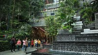 Setelah itu, langkahkan kakimu ke L1 Jewel Changi untuk melihat Shiseido Forest Valley yang terbagi menjadi sisi East (Timur) dan West (Barat). Layaknya hiking di hutan, traveler bisa berjalan santai di rute yang disediakan dengan panorama pepohonan dan tumbuhan hijau di sekitarnya (Randy/detikcom)