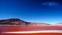 Nama Laguna Colorada menjadi salah satu destinasi menarik di perbatasan Bolivia dan Chilli. Berada tepat di Cagar Alam Nasional Andes Eduardo Avaroa, Departemen Potosi, danau ini jadi incaran fotografer. (iStock)