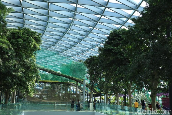 Terakhir, pergilah ke area L5 Jewel Changi untuk melihat atraksi terbaru yang bernama Canopy Park. Berada di lantai teratas, keseluruhan area ini ditutupi oleh pepohonan hijau serta deretan kafe dan atraksi wisata menarik untuk semua umur (Randy/detikcom) Terakhir, pergilah ke area L5 Jewel Changi untuk melihat atraksi terbaru yang bernama Canopy Park. Berada di lantai teratas, keseluruhan area ini ditutupi oleh pepohonan hijau serta deretan kafe dan atraksi wisata menarik untuk semua umur (Randy/detikcom)