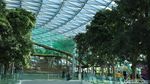 Foto: Hutan Avatar di Jewel Changi