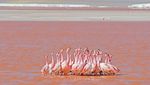 Foto: Danau Darah yang Cantik Sekaligus Beracun