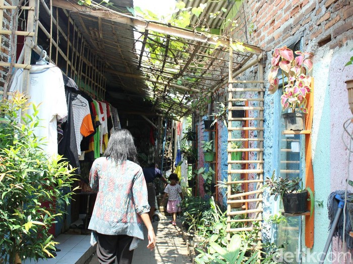 Memanfaatkan lahan sempit, warga Kampung Hidroponik sukses menciptakan suasana asri di tengah polusi Kota Tangerang. (Foto: Nabila Ulfa Jayanti/detikHealth) Memanfaatkan lahan sempit, warga Kampung Hidroponik sukses menciptakan suasana asri di tengah polusi Kota Tangerang. (Foto: Nabila Ulfa Jayanti/detikHealth)