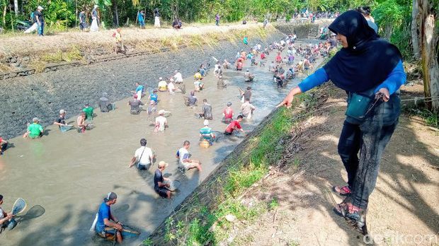 Sambut Kemarau, Ribuan Warga Purworejo Bersihkan Sungai dan Panen Ikan