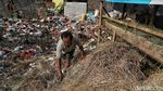 Hewan Kurban Ini Dijual di Samping Tempat Penampungan Sampah