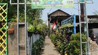 Berawal dari pemukiman kumuh, kampung yang terletak di Gg Ponpes RDS, Cimone, Karawaci, Kota Tangerang ini berubah menjadi Kampung Inovasi Cimone yang menjadi kampung percontohan. (Foto: Nabila Ulfa Jayanti/detikHealth)