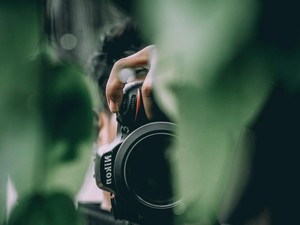 Foto Bule Sedang Berjemur, Fotografer Diprotes Staf Hotel