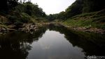 Potret Sungai Cileungsi yang Tercemar Hingga Menghitam