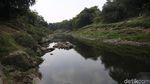 Potret Sungai Cileungsi yang Tercemar Hingga Menghitam
