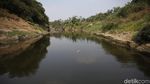 Potret Sungai Cileungsi yang Tercemar Hingga Menghitam